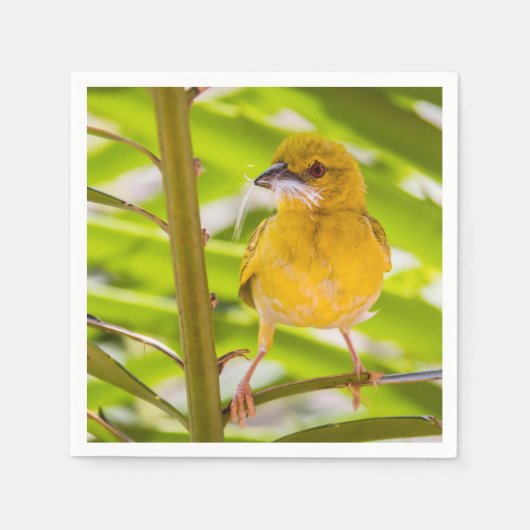 Tijd om het nest te bouwen servet (Voorkant)