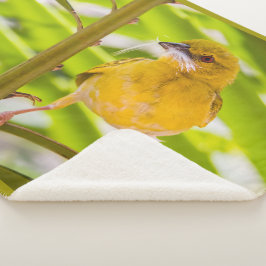 Tijd om het nest te bouwen sherpa deken