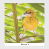 Tijd om het nest te bouwen sticker (Vel)