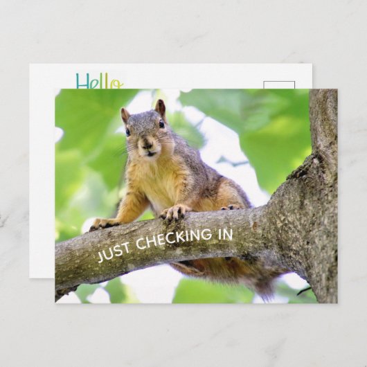 Tijd om in Briefkaart te controleren (Voorkant / Achterkant)