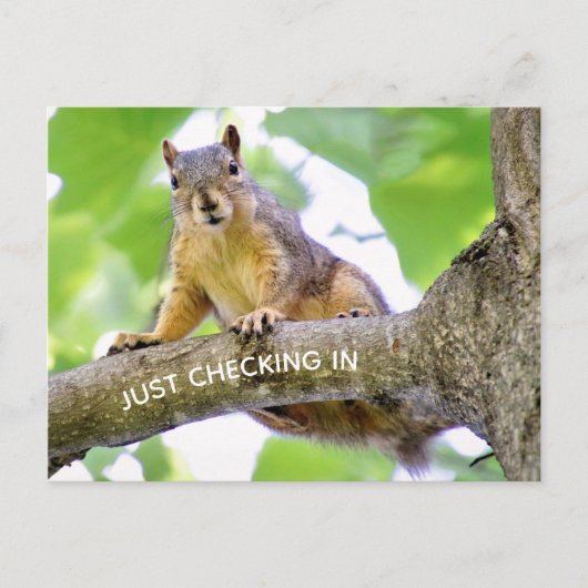 Tijd om in Briefkaart te controleren (Voorkant)