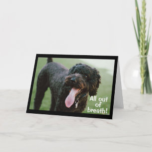 ** TIJD OM JE 13e VERJAARDAG TE VIEREN ** Kaart