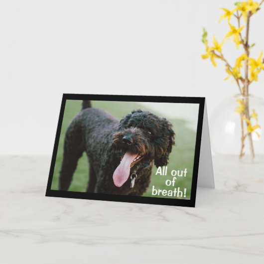 ** TIJD OM JE 16e VERJAARDAG TE VIEREN ** Kaart (Gele Bloem)