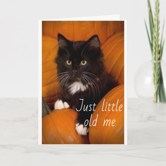 TIJD OM JE 60ste VERJAARDAG KAART TE VIEREN (Voorkant)