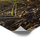 Tijd om "poster" te ontspannen poster (Hoek)