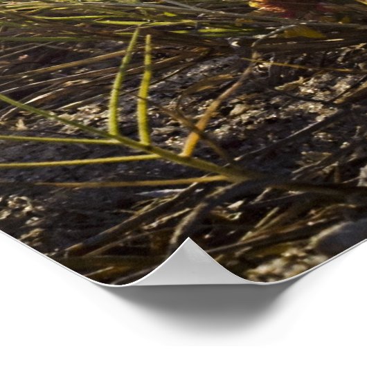 Tijd om "poster" te ontspannen poster (Hoek)