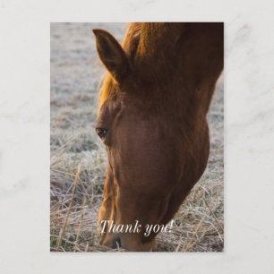 Tijd om te eten dankkaart briefkaart