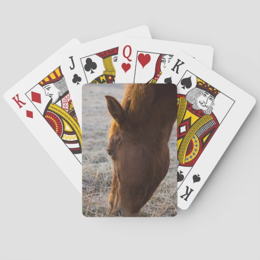 Tijd om te eten pokerkaarten (Achterkant)