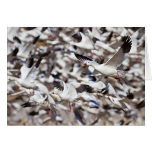 tijd om te ontploffen