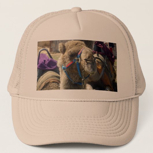 Tijd om te rijden kamelen, truckers Pet (Voorkant)