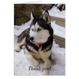 Tijd om te rusten Hartelijk dank