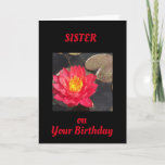 TIJD OM U TE CELEREN **SISTER** KAART<br><div class="desc">BEDANKT VOOR HET OPLOSSEN VAN 1 VAN DE 8 OPLOSSINGEN. DEZE KAART IS ZO MOEILIJK VOOR EEN ***BIRTHDAY**!!! HERINNER U ERAAN DAT U DE VERSE BINNEN EN BUITEN KUNT VERANDEREN ALS U WILT!</div>