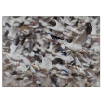 Tijd om uit te blazen