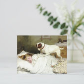 Tijd om wakker te worden briefkaart (Staand voorkant)