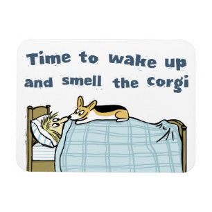 Tijd om wakker te worden en de Corgi te ruiken Magneet