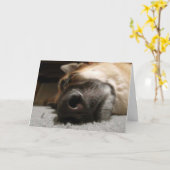 Tijd om wakker te worden Verjaardag Kaart (Gele Bloem)