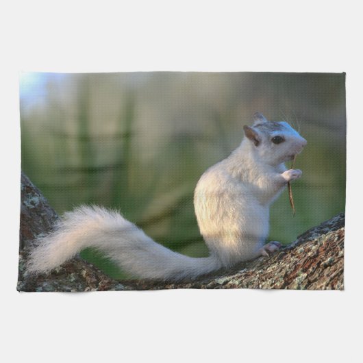 Tijd tot Dance! Theedoek (Horizontaal)