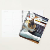 Tijd uit planner (Display)