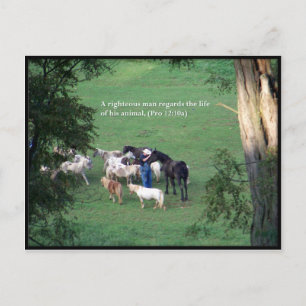 Tijd van kabelhoe briefkaart