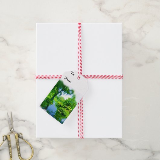 Tijd Verwijderd Van de Stad Cadeaulabel (Met Touw)