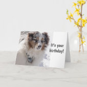 TIJD VOOR CELEBRAAT ***16** ZEGGEN SNOWBOUND PUP KAART (Gele Bloem)