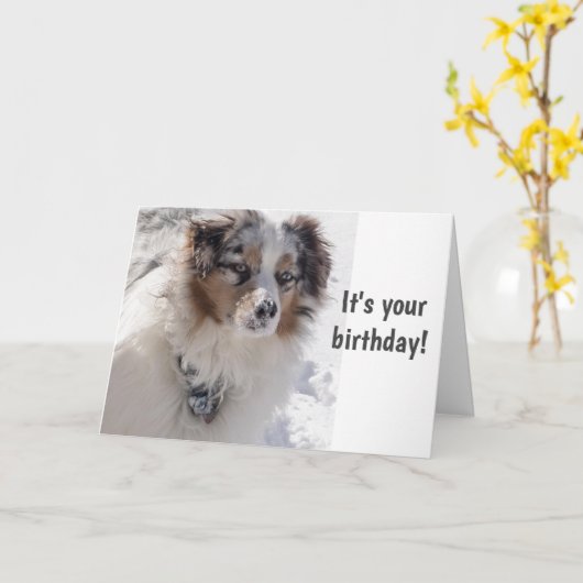 TIJD VOOR CELEBRAAT ***16** ZEGGEN SNOWBOUND PUP KAART (Gele Bloem)