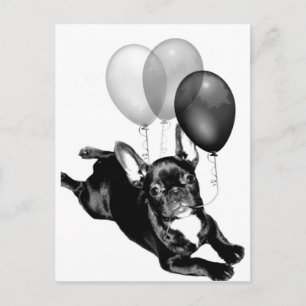 Tijd voor Franse Bulldog-briefkaart Briefkaart