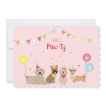 Tijd voor Pawty Birthday-honden