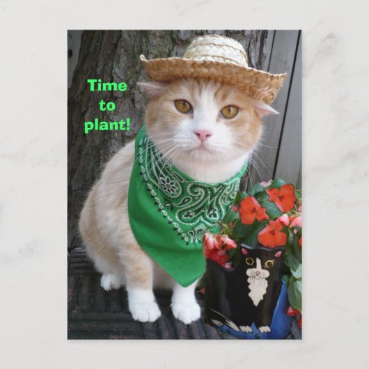Tijd voor Plant! Briefkaart (Voorkant)