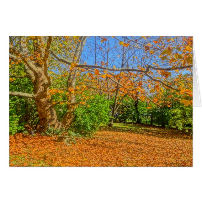 Tijd voor Rake! (Voorkant Horizontaal)