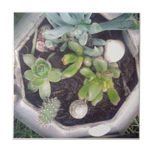 Tijd voor thee?Een geplante theeketel Tegeltje (Voorkant)