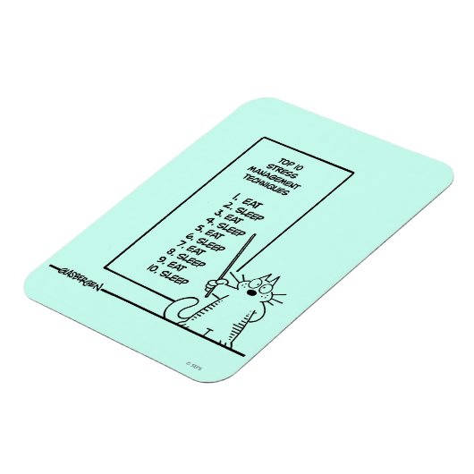 Tijdbeheer Magneet (Linkerzijde)