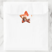 Tijdelijk Abstract Ster Sticker (Tas)