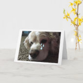 TIJDELIJK EYED COCKER SPANIEL ZEGT "IK MIST JE" KAART (Gele Bloem)