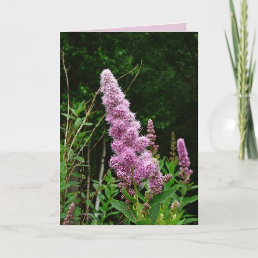 Tijdelijk zomergeheugen kaart (Voorkant)