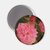 Tijden voorbij magneet (Voorkant / Achterkant)