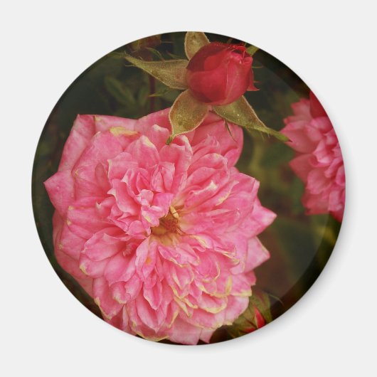 Tijden voorbij magneet (Voorkant)