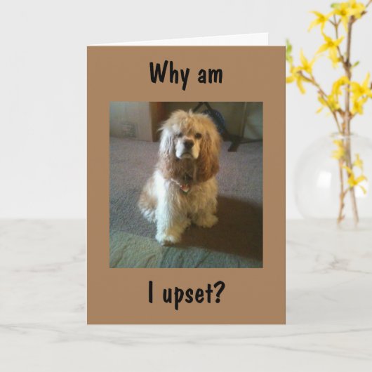 TIJDENS "65" EN NOG STEEDS "21" ZOALS UPSET! KAART (Gele Bloem)