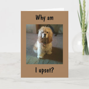 TIJDENS "65" EN NOG STEEDS "21" ZOALS UPSET! KAART