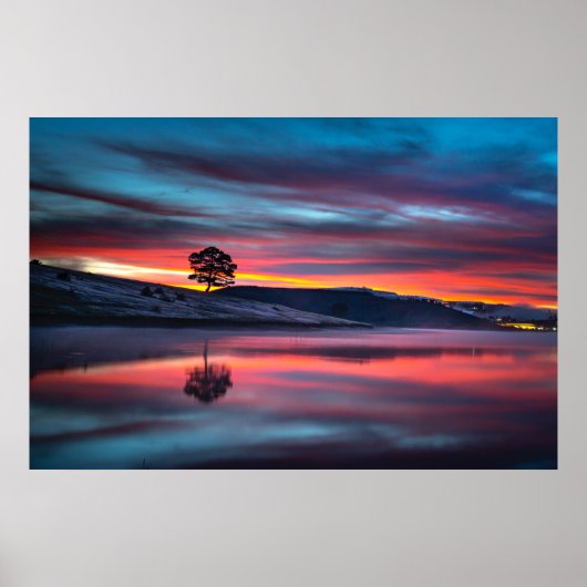 Tijdens de Gouden Uur, reflecteert een boom op een Poster (Voorkant)