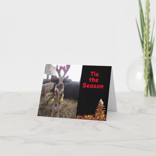 TIJDENS DE SEIZOEN **CELEBRAAT MET U** FEESTDAGEN KAART (Voorkant)