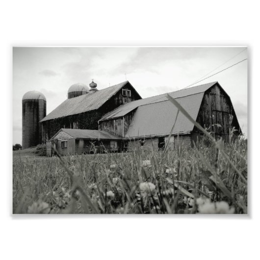 Tijdig Foto Afdruk (Voorkant)