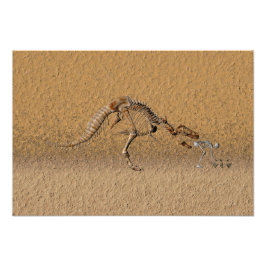 Tijdige kromming fossiel foto afdruk