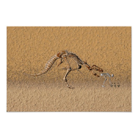 Tijdige kromming fossiel foto afdruk (Voorkant)