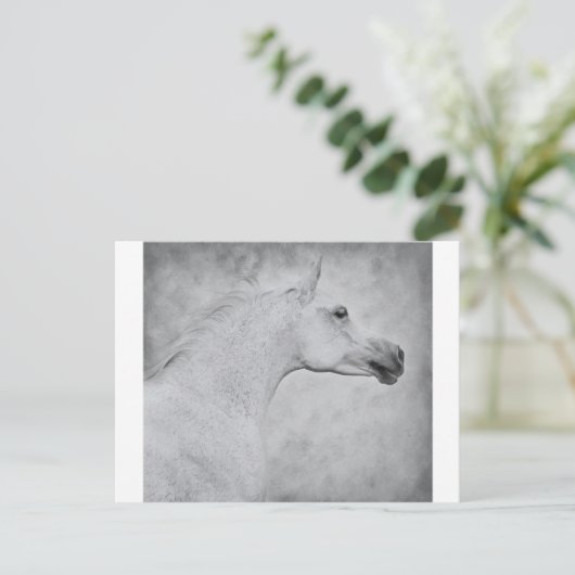 Tijdige schoonheid briefkaart (Staand voorkant)