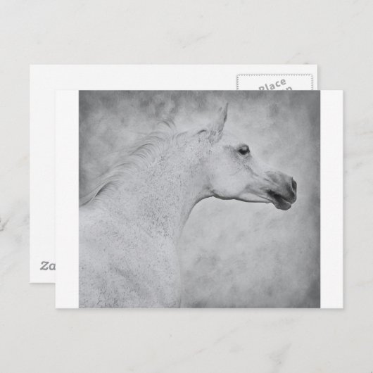 Tijdige schoonheid briefkaart (Voorkant / Achterkant)