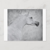 Tijdige schoonheid briefkaart (Voorkant)