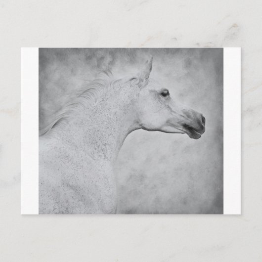 Tijdige schoonheid briefkaart (Voorkant)