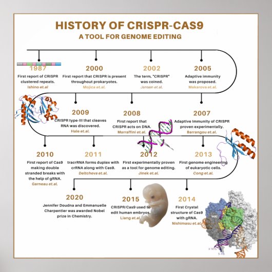 Tijdlijn van CRISPR Geschiedenis Poster (Voorkant)