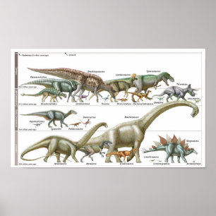 Tijdlijn van de dinosauriërs Jurassic Biologie Poster